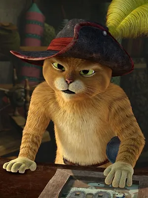 Les aventures du Chat Potté S2 E6