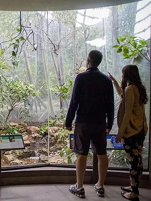 Les génies des bassins