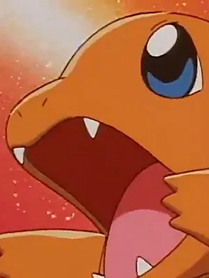 Pokémon S1 E24