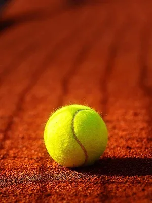 Qinwen Zheng  / Donna Vekic