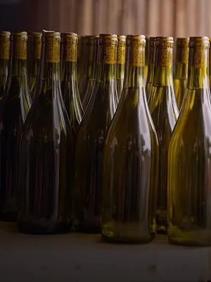 Vins bretons, la nouvelle conquête de l'ouest