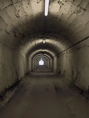 L'antre des dictateurs