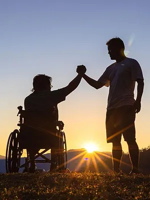 Je Zal Het Maar Hebben