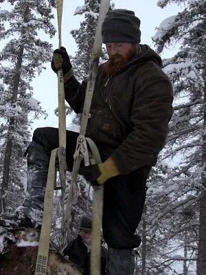 Alaska : nouvelle vie