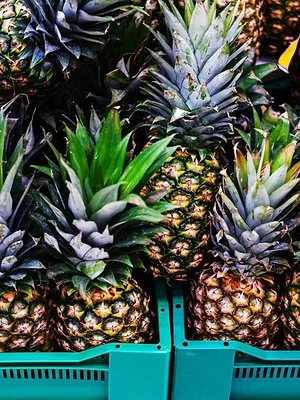 Au coeur des douanes : Espagne