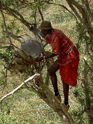 Les maîtres des abeilles