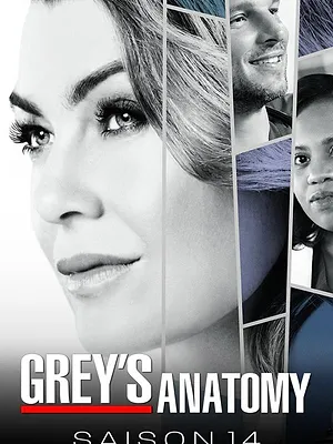 Saison 14