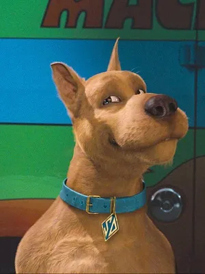 Scooby-Doo et la légende du roi Arthur