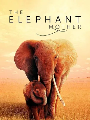 The Elephant Mother