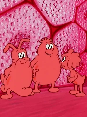 Il était une fois... la vie S1 E1