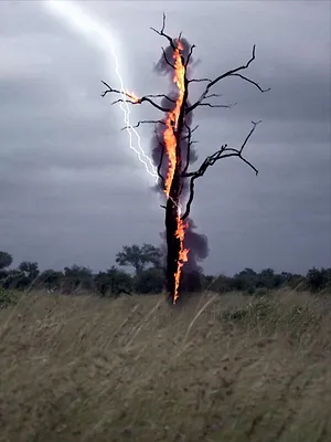 Terre, la vie cachée d'une planète