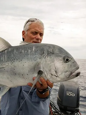 River Monsters