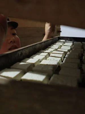 Les maîtres du tofu