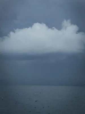 The Island