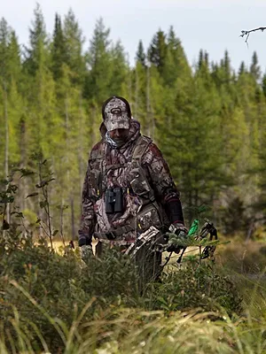 Québec à vol d'oiseau