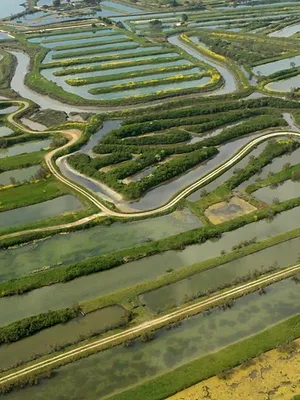 Patrimoines de France