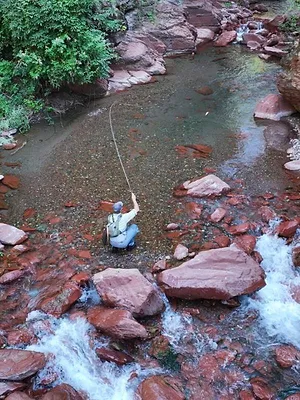 Alpes-Maritimes - Des rivières et des lacs