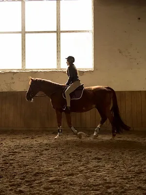 A sport : Équitation