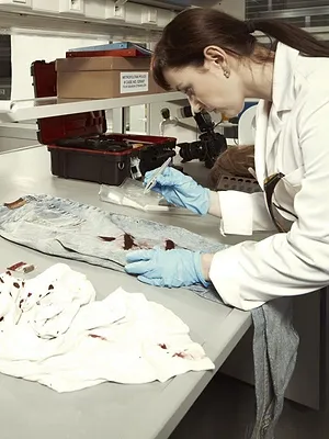 Affaire Escadeillas : autopsie d'un cold case