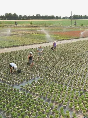 Le jardinage, ça ratisse large !