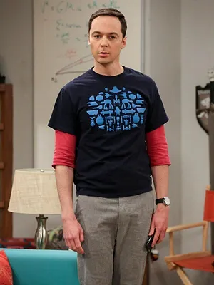 Big Bang Theory S11 E23