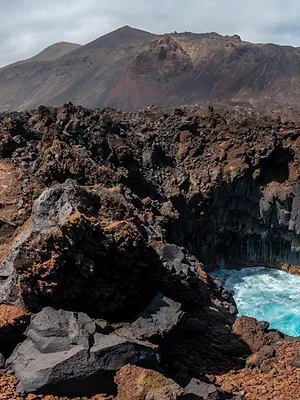 Retour à l'instinct primaire : les naufragés