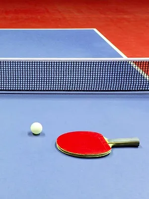 Tennis de table
