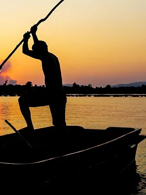 Retour à l'instinct primaire : Apocalypse