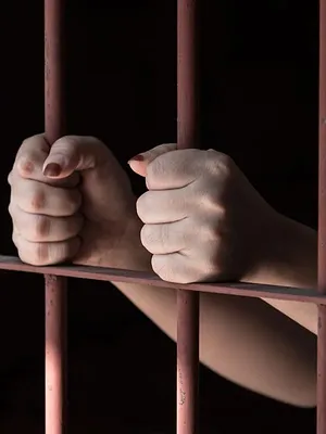 Prisonniers sous haute surveillance