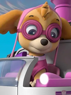 Paw Patrol, la Pat'Patrouille S5 E15