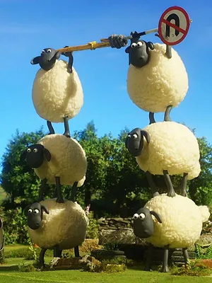 Shaun le champion S1 E21