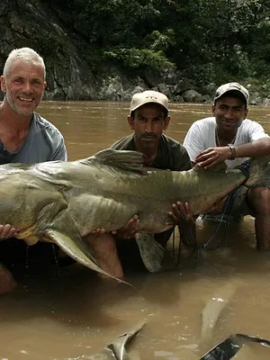 River Monsters