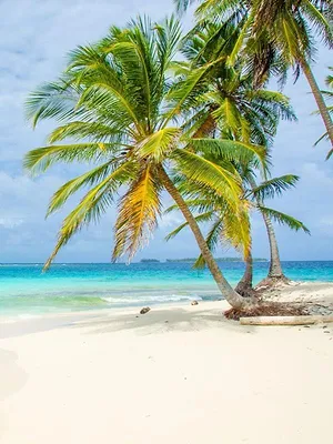 Ex on the Beach : la revanche des ex