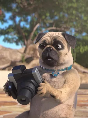 Mike, une vie de chien S1 E21