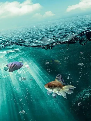 Aquamen