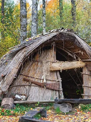 Zurück in die Steinzeit