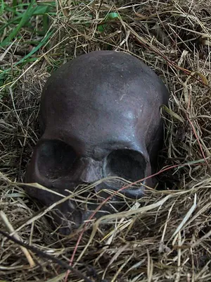 Le tueur d'à côté