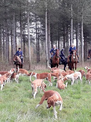 La vènerie de demain