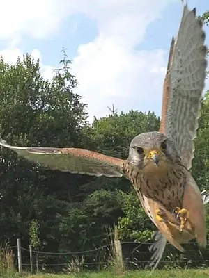 Il était une rivière - Au fil de la Leine
