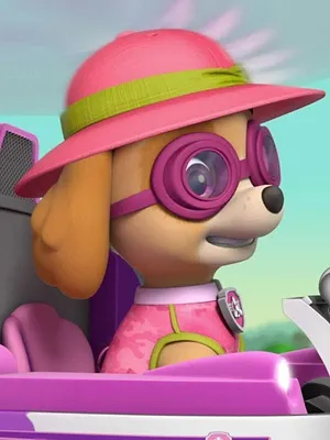 Paw Patrol, la Pat'Patrouille S4 E7