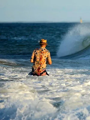 Les bars charentais à la mouche