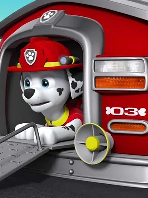 Paw Patrol, la Pat'Patrouille S4 E14