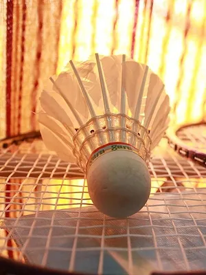 Badminton : Championnats du monde
