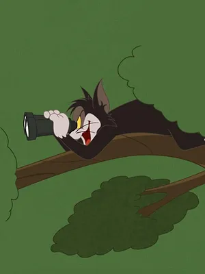 Tom et Jerry Show S5 E38