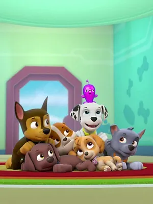 Paw Patrol, la Pat'Patrouille S3 E19