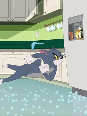 Tom et Jerry Show S5 E30