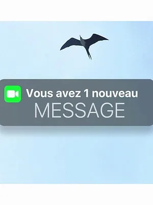 Vous avez un nouveau message