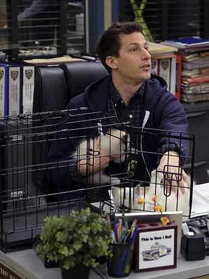 Brooklyn Nine-Nine S3 E17