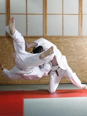 Judo : Grand Slam de Douchanbé