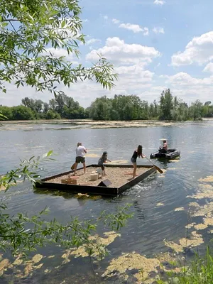 Das Geheimnis der Au